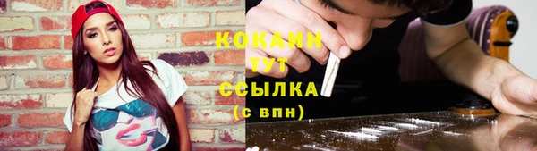 первитин Дмитриев